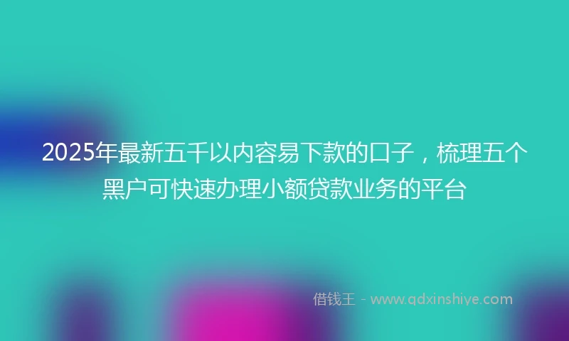 2025年最新五千以内容易下款的口子，梳理五个黑户可快速办理小额贷款业务的平台