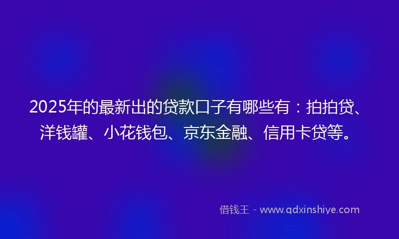2025年的最新出的贷款口子有哪些有：拍拍贷、洋钱罐、小花钱包、京东金融、信用卡贷等。