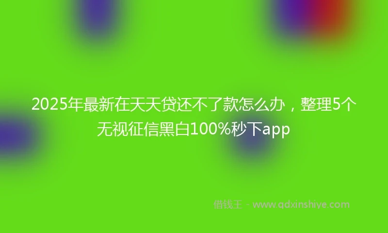 2025年最新在天天贷还不了款怎么办，整理5个无视征信黑白100%秒下app