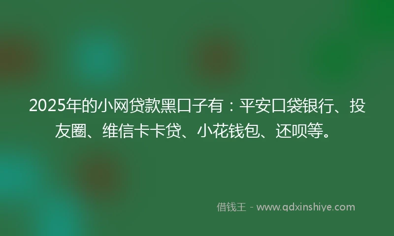 2025年的小网贷款黑口子有：平安口袋银行、投友圈、维信卡卡贷、小花钱包、还呗等。