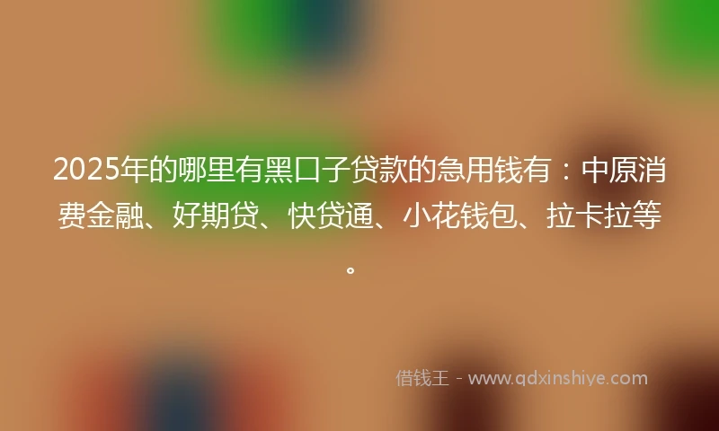 2025年的哪里有黑口子贷款的急用钱有：中原消费金融、好期贷、快贷通、小花钱包、拉卡拉等。