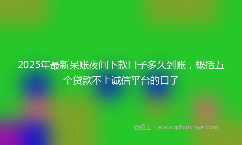 2025年最新呆账夜间下款口子多久到账，概括五个贷款不上诚信平台的口子