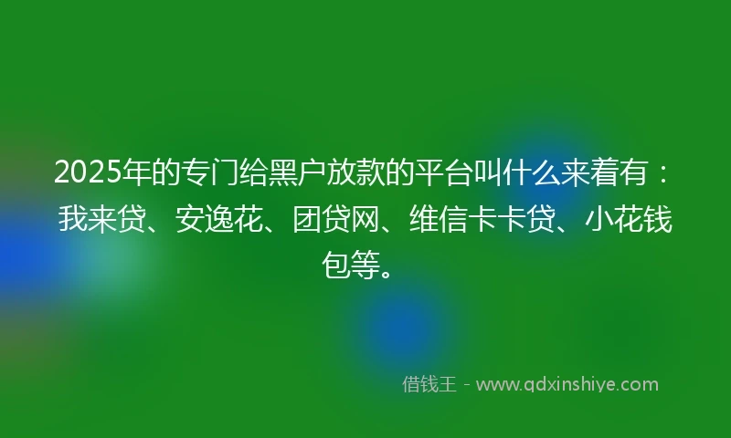 2025年的专门给黑户放款的平台叫什么来着有：我来贷、安逸花、团贷网、维信卡卡贷、小花钱包等。