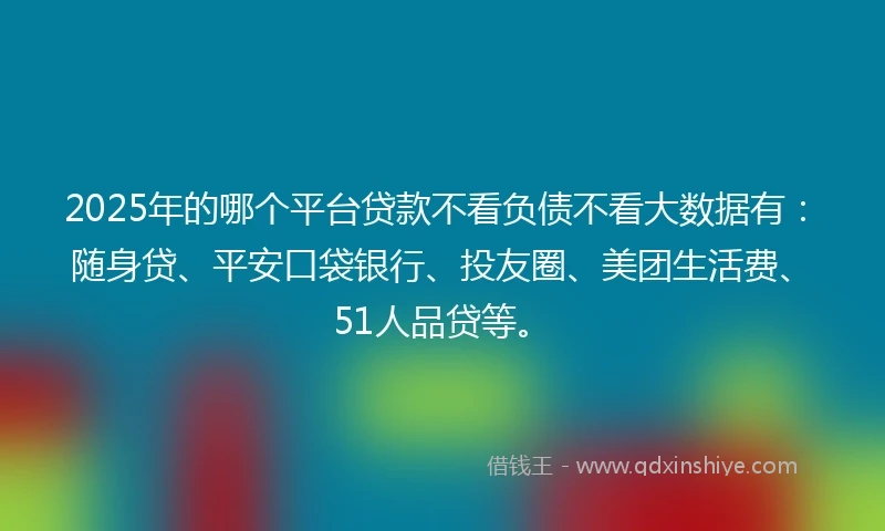 2025年的哪个平台贷款不看负债不看大数据有：随身贷、平安口袋银行、投友圈、美团生活费、51人品贷等。