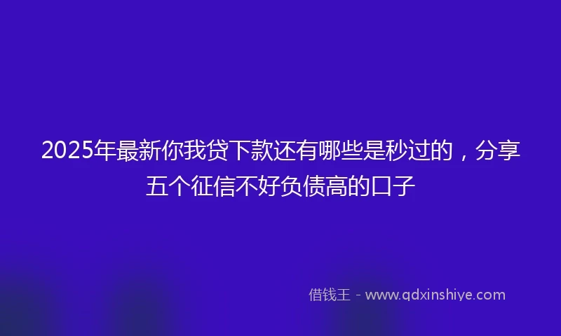 2025年最新你我贷下款还有哪些是秒过的，分享五个征信不好负债高的口子