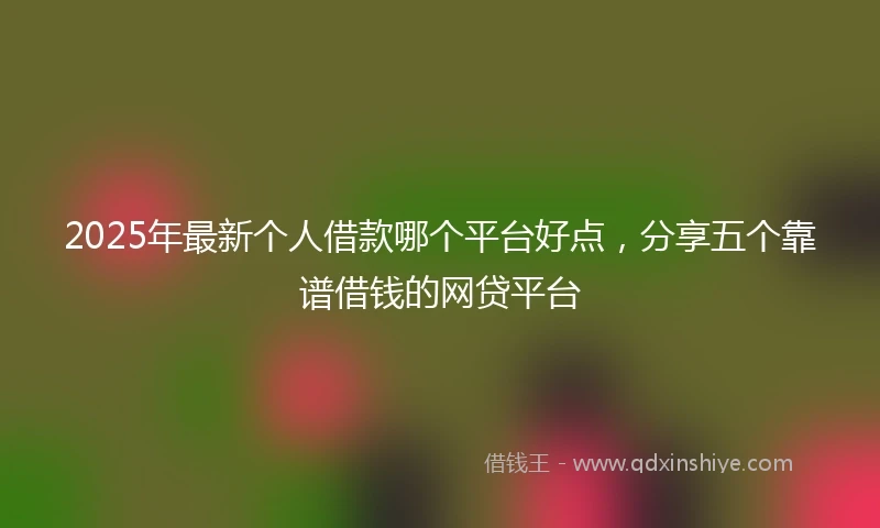2025年最新个人借款哪个平台好点，分享五个靠谱借钱的网贷平台