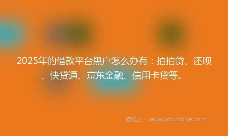 2025年的借款平台黑户怎么办有：拍拍贷、还呗、快贷通、京东金融、信用卡贷等。