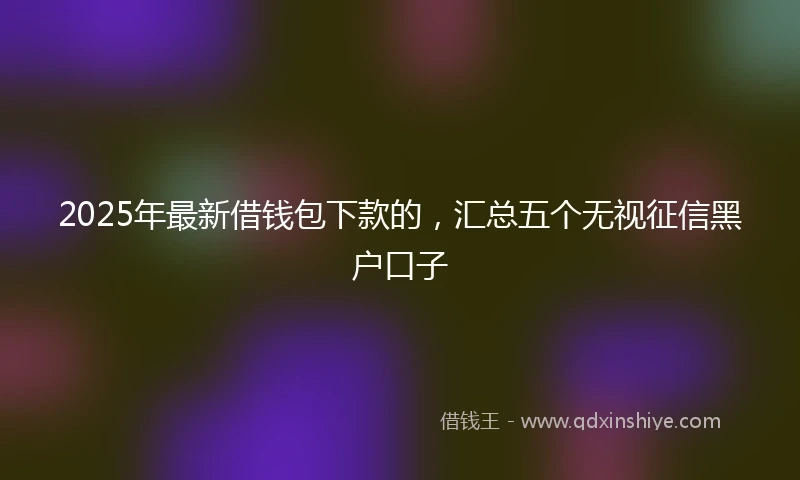 2025年最新借钱包下款的，汇总五个无视征信黑户口子