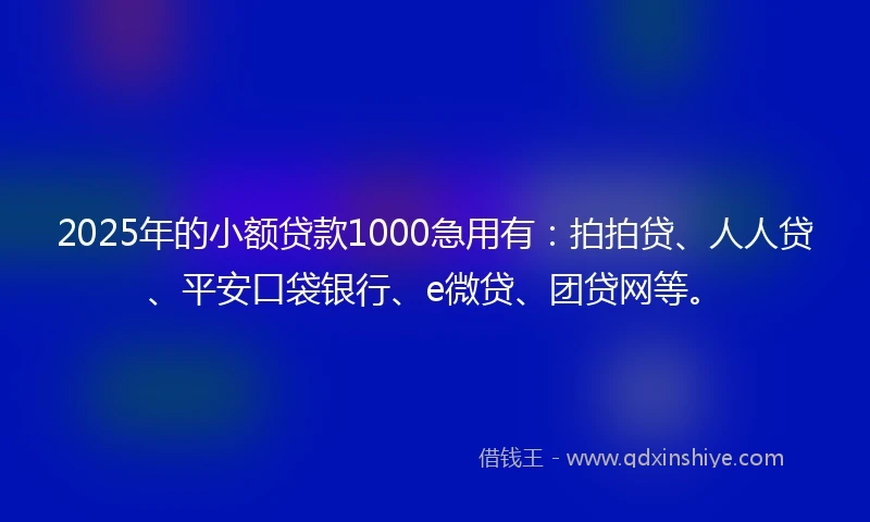 2025年的小额贷款1000急用有：拍拍贷、人人贷、平安口袋银行、e微贷、团贷网等。