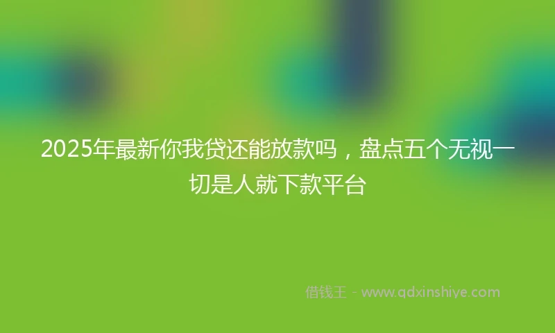 2025年最新你我贷还能放款吗，盘点五个无视一切是人就下款平台