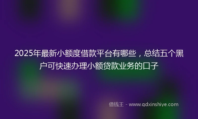 2025年最新小额度借款平台有哪些，总结五个黑户可快速办理小额贷款业务的口子