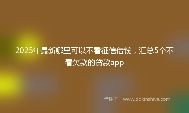 2025年最新哪里可以不看征信借钱，汇总5个不看欠款的贷款app