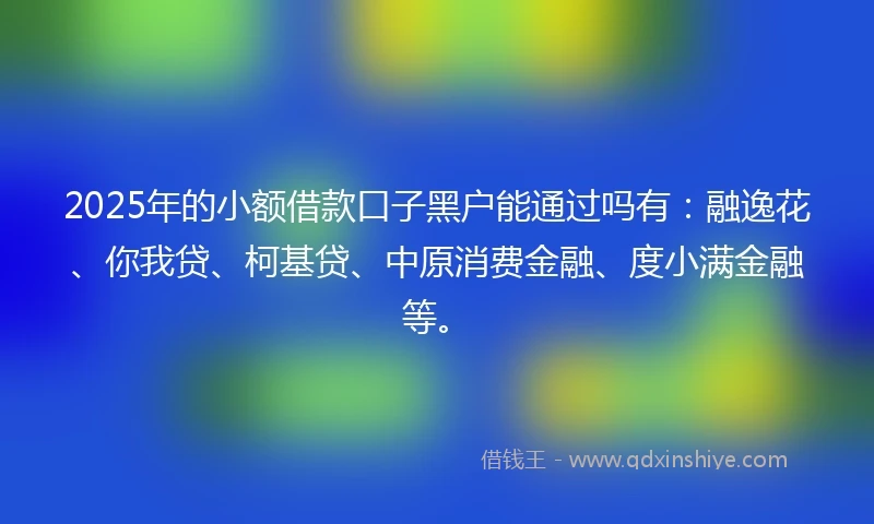 2025年的小额借款口子黑户能通过吗有：融逸花、你我贷、柯基贷、中原消费金融、度小满金融等。