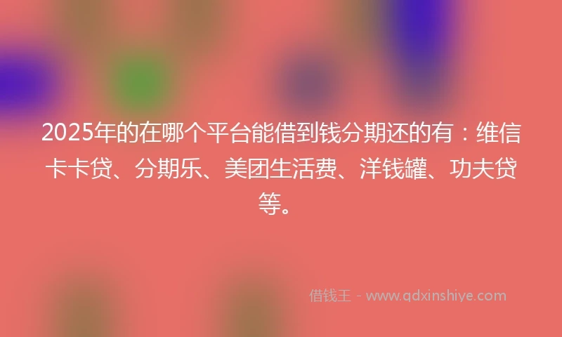2025年的在哪个平台能借到钱分期还的有：维信卡卡贷、分期乐、美团生活费、洋钱罐、功夫贷等。