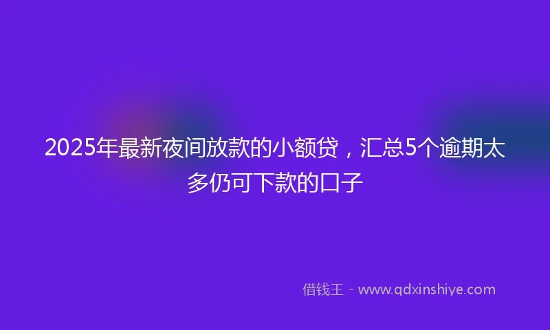 2025年最新夜间放款的小额贷，汇总5个逾期太多仍可下款的口子