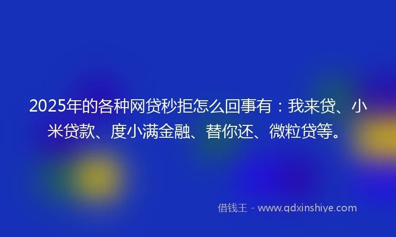 2025年的各种网贷秒拒怎么回事有：我来贷、小米贷款、度小满金融、替你还、微粒贷等。