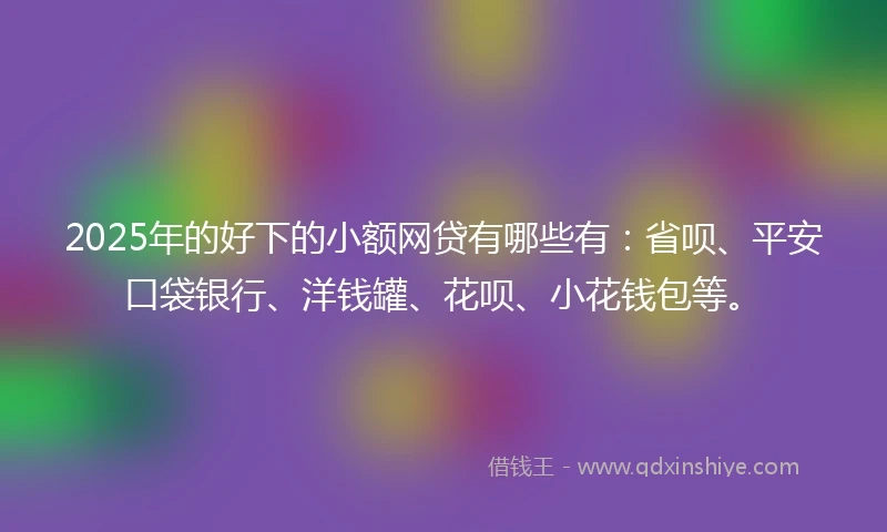 2025年的好下的小额网贷有哪些有：省呗、平安口袋银行、洋钱罐、花呗、小花钱包等。