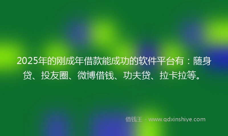 2025年的刚成年借款能成功的软件平台有：随身贷、投友圈、微博借钱、功夫贷、拉卡拉等。