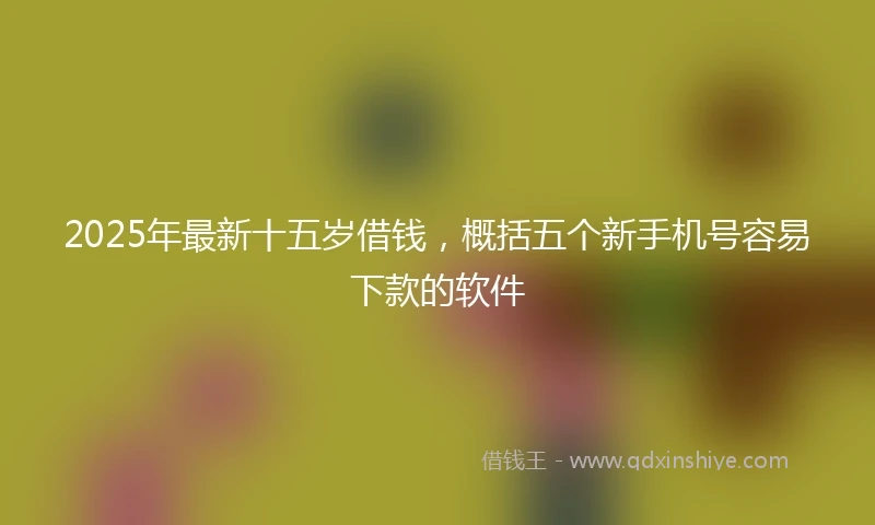 2025年最新十五岁借钱，概括五个新手机号容易下款的软件