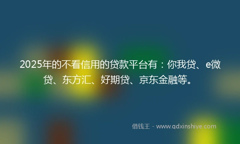 2025年的不看信用的贷款平台有：你我贷、e微贷、东方汇、好期贷、京东金融等。