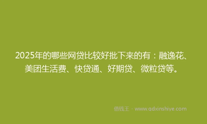 2025年的哪些网贷比较好批下来的有：融逸花、美团生活费、快贷通、好期贷、微粒贷等。