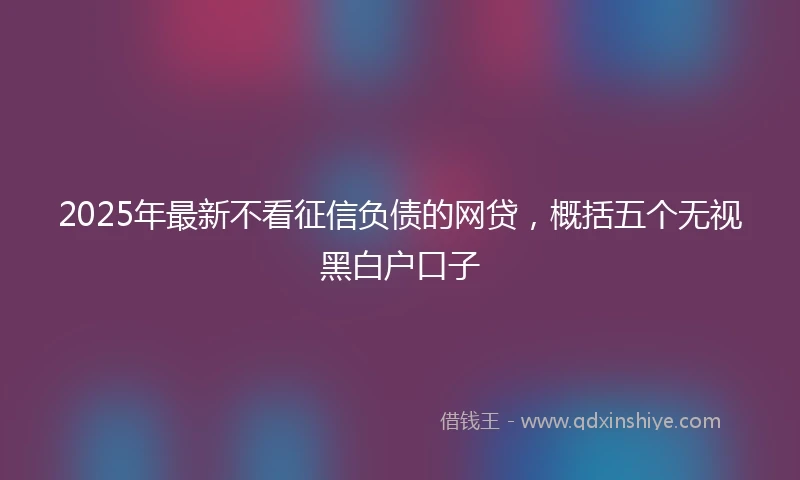 2025年最新不看征信负债的网贷，概括五个无视黑白户口子