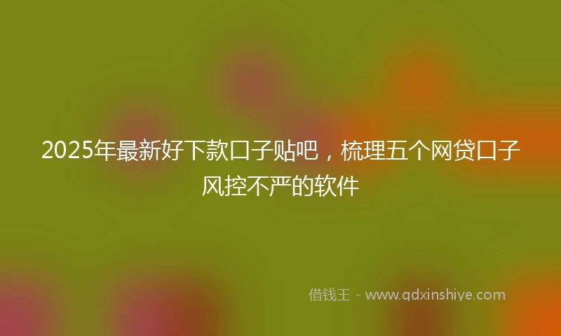 2025年最新好下款口子贴吧，梳理五个网贷口子风控不严的软件