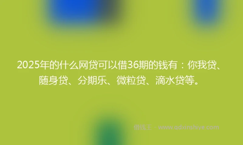 2025年的什么网贷可以借36期的钱有：你我贷、随身贷、分期乐、微粒贷、滴水贷等。