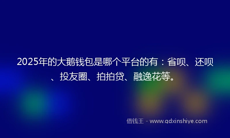 2025年的大鹅钱包是哪个平台的有：省呗、还呗、投友圈、拍拍贷、融逸花等。