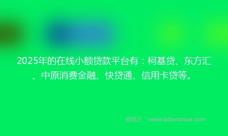 2025年的在线小额贷款平台有：柯基贷、东方汇、中原消费金融、快贷通、信用卡贷等。
