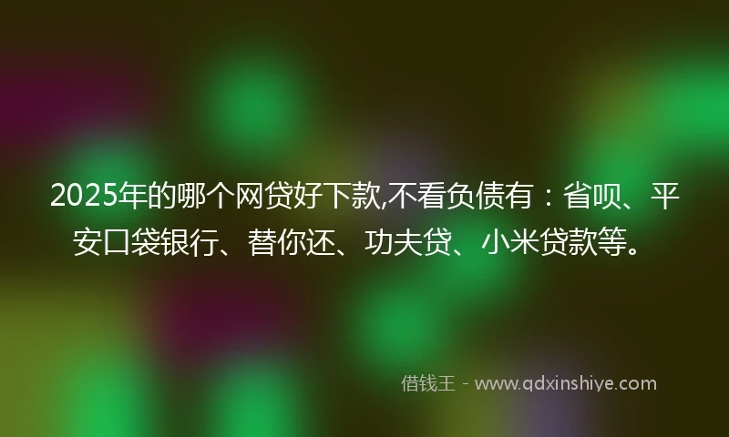 2025年的哪个网贷好下款,不看负债有：省呗、平安口袋银行、替你还、功夫贷、小米贷款等。