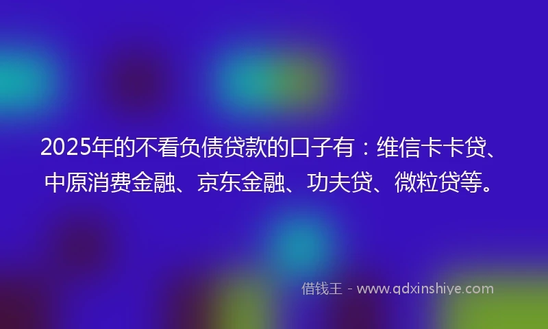 2025年的不看负债贷款的口子有：维信卡卡贷、中原消费金融、京东金融、功夫贷、微粒贷等。