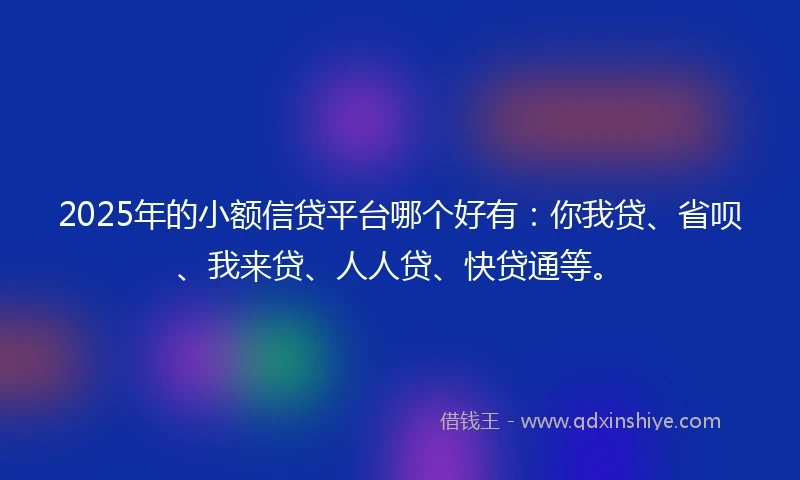 2025年的小额信贷平台哪个好有：你我贷、省呗、我来贷、人人贷、快贷通等。
