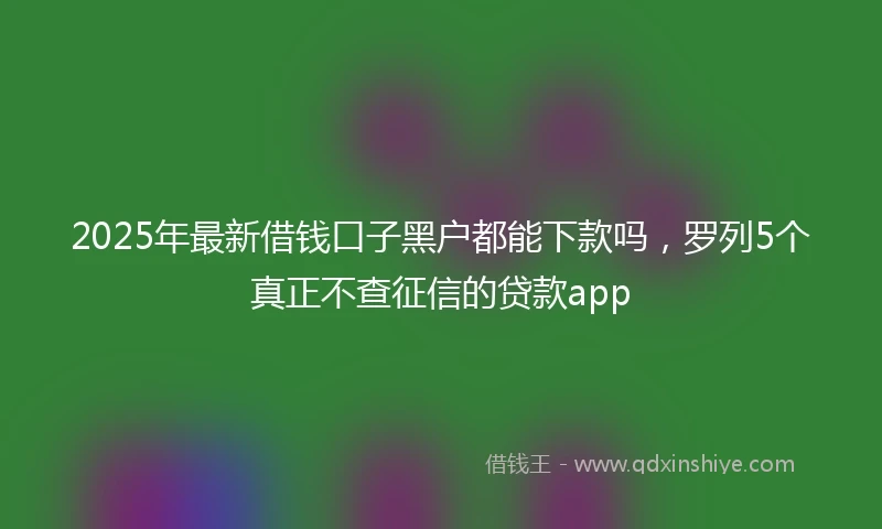 2025年最新借钱口子黑户都能下款吗，罗列5个真正不查征信的贷款app