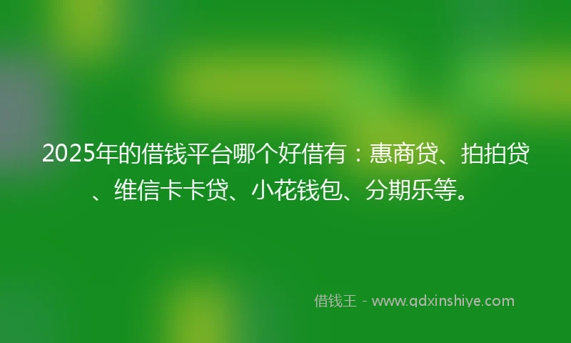 2025年的借钱平台哪个好借有：惠商贷、拍拍贷、维信卡卡贷、小花钱包、分期乐等。