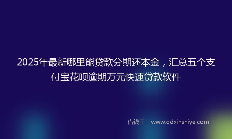 2025年最新哪里能贷款分期还本金，汇总五个支付宝花呗逾期万元快速贷款软件