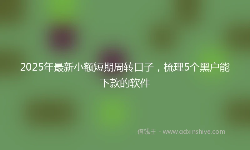 2025年最新小额短期周转口子，梳理5个黑户能下款的软件