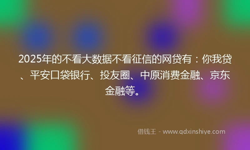 2025年的不看大数据不看征信的网贷有：你我贷、平安口袋银行、投友圈、中原消费金融、京东金融等。