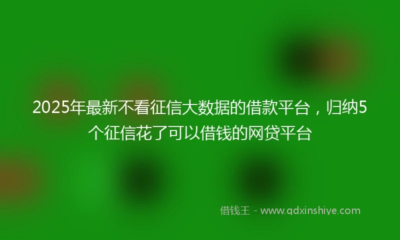 2025年最新不看征信大数据的借款平台，归纳5个征信花了可以借钱的网贷平台