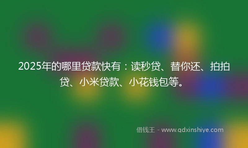 2025年的哪里贷款快有：读秒贷、替你还、拍拍贷、小米贷款、小花钱包等。