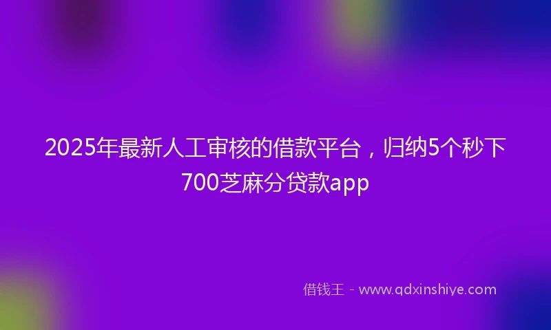 2025年最新人工审核的借款平台，归纳5个秒下700芝麻分贷款app