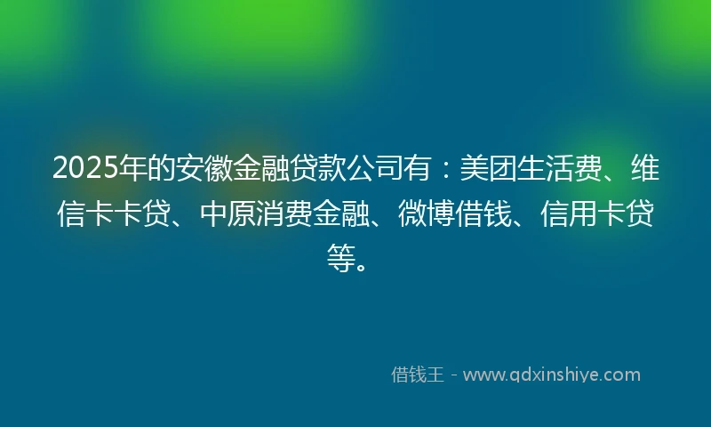 2025年的安徽金融贷款公司有：美团生活费、维信卡卡贷、中原消费金融、微博借钱、信用卡贷等。