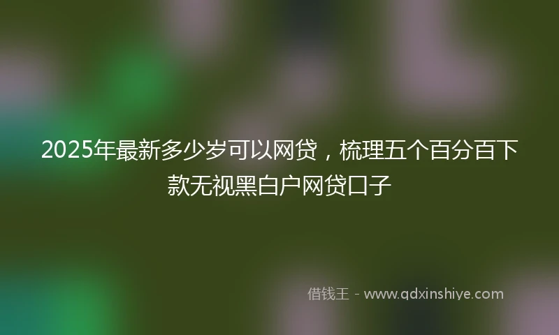 2025年最新多少岁可以网贷，梳理五个百分百下款无视黑白户网贷口子