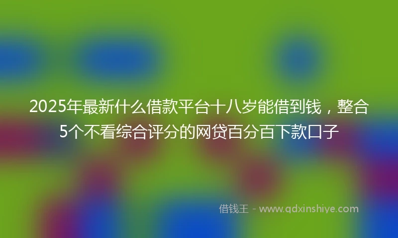 2025年最新什么借款平台十八岁能借到钱，整合5个不看综合评分的网贷百分百下款口子