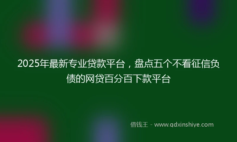 2025年最新专业贷款平台，盘点五个不看征信负债的网贷百分百下款平台