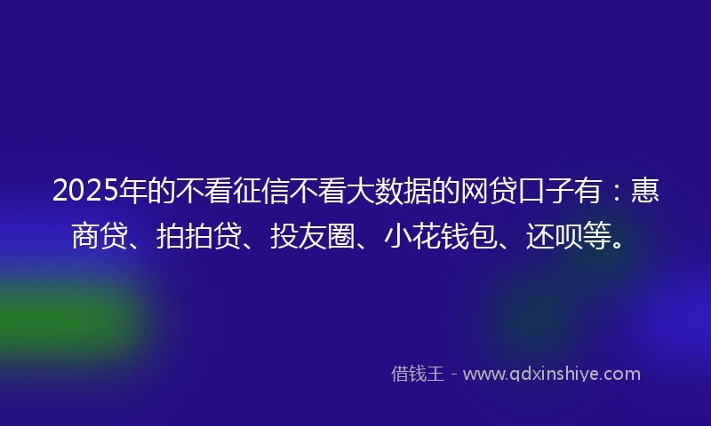 2025年的不看征信不看大数据的网贷口子有：惠商贷、拍拍贷、投友圈、小花钱包、还呗等。