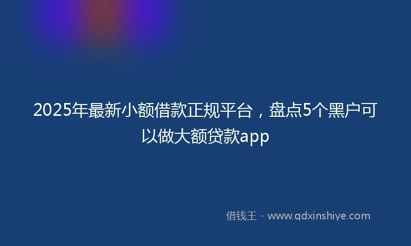 2025年最新小额借款正规平台，盘点5个黑户可以做大额贷款app