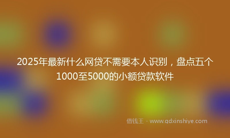 2025年最新什么网贷不需要本人识别，盘点五个1000至5000的小额贷款软件