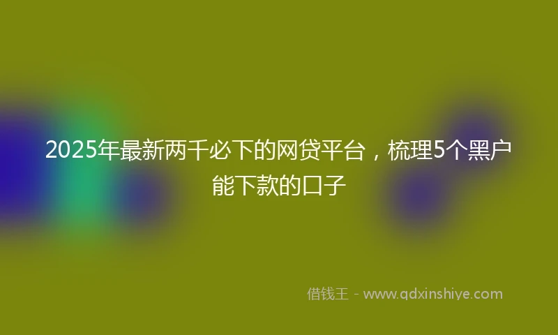 2025年最新两千必下的网贷平台，梳理5个黑户能下款的口子