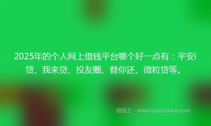 2025年的个人网上借钱平台哪个好一点有：平安i贷、我来贷、投友圈、替你还、微粒贷等。